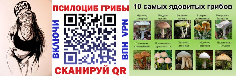 площадка какой сайт  kraken как войти  Гаврилов-Ям  Галлюциногенные грибы GOLDEN TEACHER 